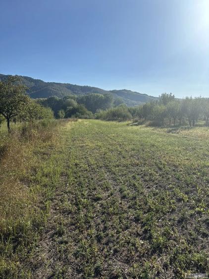 Teren de 4400 mp, în Central