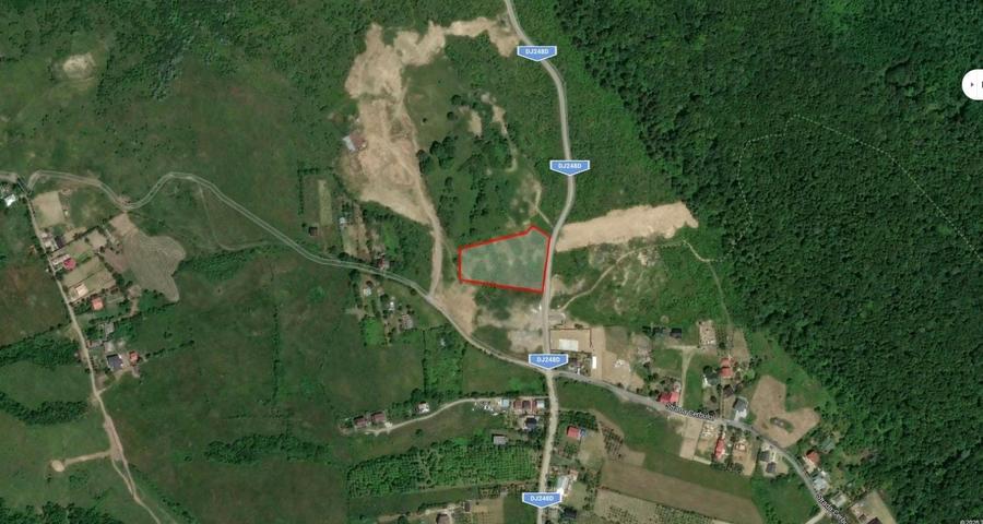Teren Construcții intravilan de 10000 mp, în Păun
