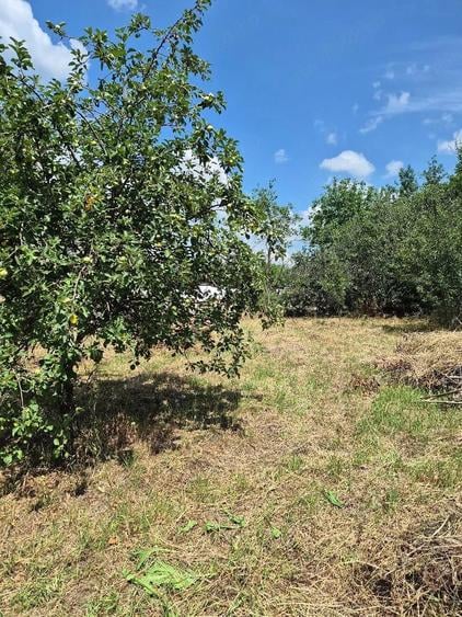 Casă cu Teren 800 Mp în Dăbâca