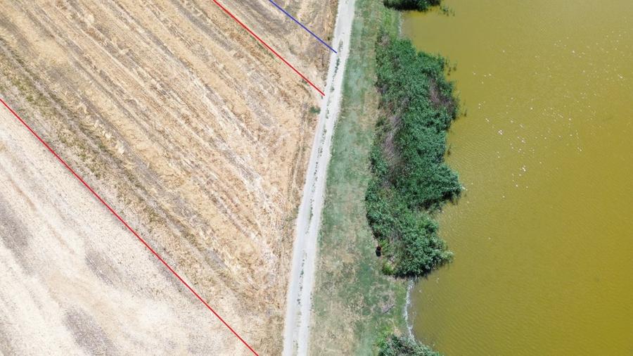Teren Construcții extravilan de 6500 mp, în Frumușani