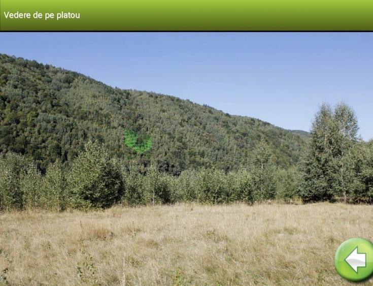 Teren de 12150 mp, în Plaiul Foii