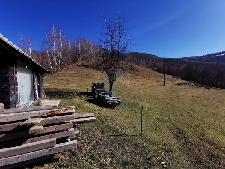Teren Construcții intravilan de 10100 mp, în Munteni