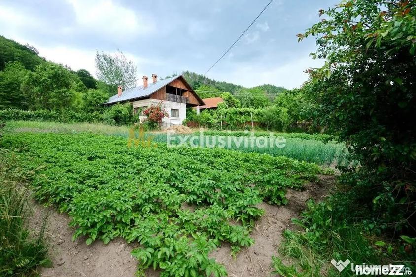 Casă cu 3 camere cu Teren 4696 Mp în Central