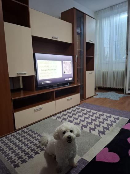 Garsonieră semidecomandată în Craiovei