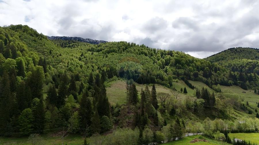 Teren agricol extravilan de 48297 mp, în Sătic