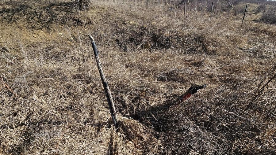 Teren agricol extravilan de 5665 mp, în Iris