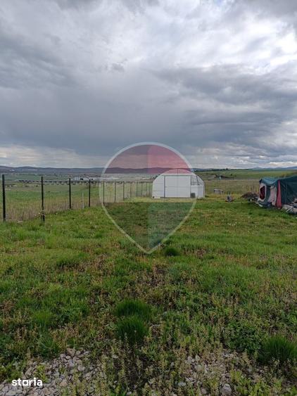 Teren de 4000 mp, în Vest