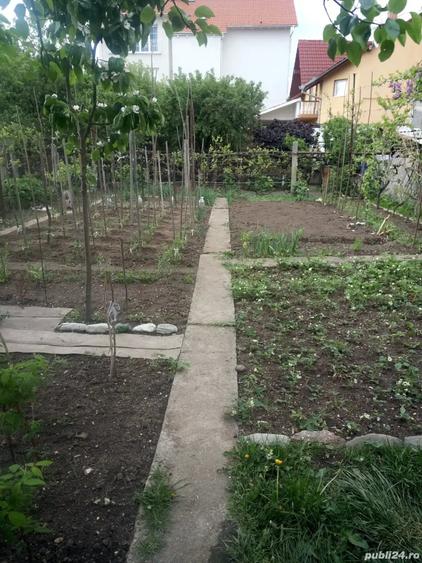 Casă cu 5 camere cu Teren 460 Mp în Calea Dumbrăvii