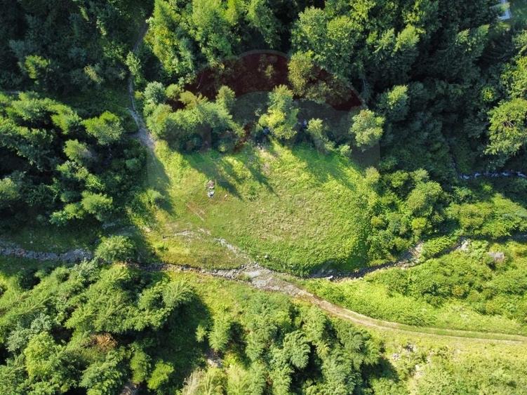 Teren agricol extravilan de 2895 mp, în Nord