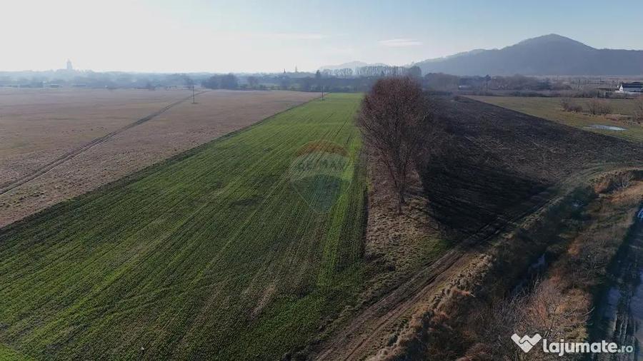 Teren de 15482 mp, în Hărman