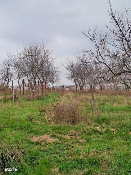 Teren de 2450 mp, în Hidiș