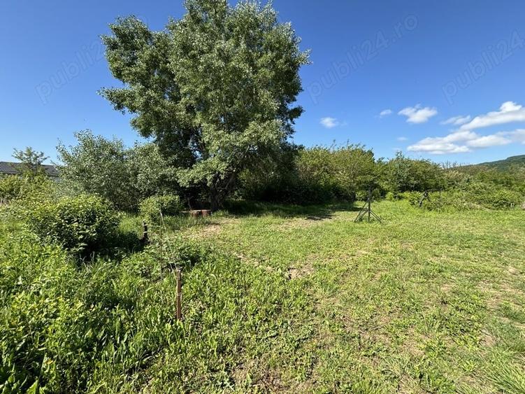 Teren de 2170 mp, în Olteni