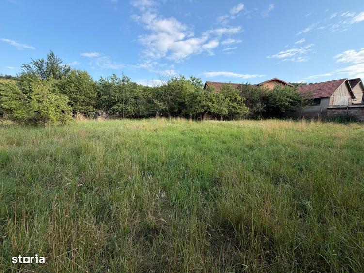 Teren intravilan cu constructie renovabila, 1715 mp, Zona Suceagu - 4