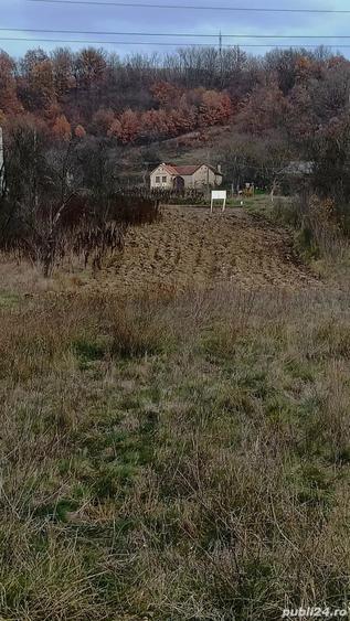 Teren de 734 mp, în Plugova