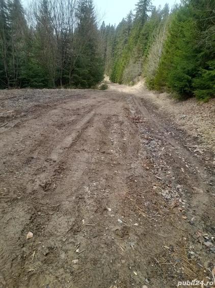 Teren de 4408 mp, în Dorna Candrenilor