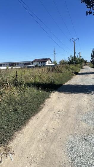 Teren Construcții intravilan de 3645 mp, în 1 Decembrie