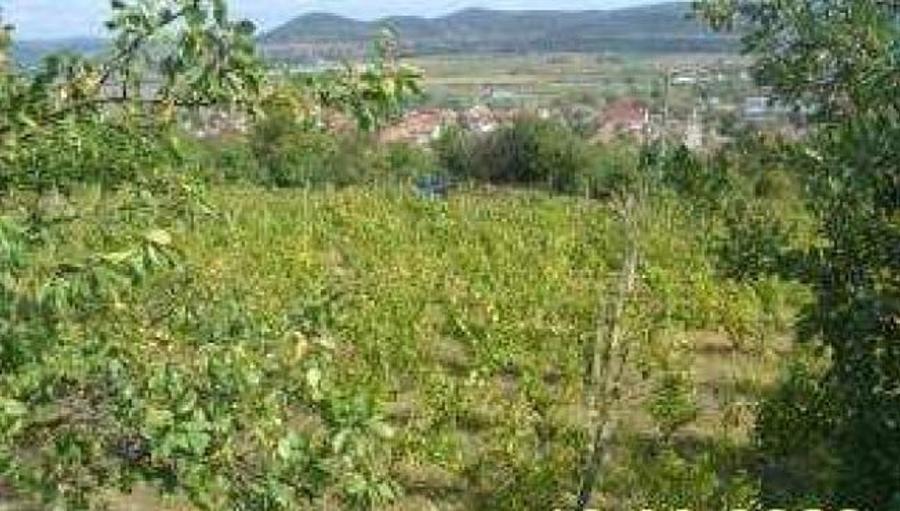 Teren agricol extravilan de 3000 mp, în Aiud