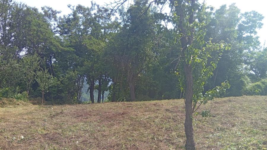 Casă individuală cu 5 camere cu Teren 9515 Mp în Șerbănești (Sălătrucel)