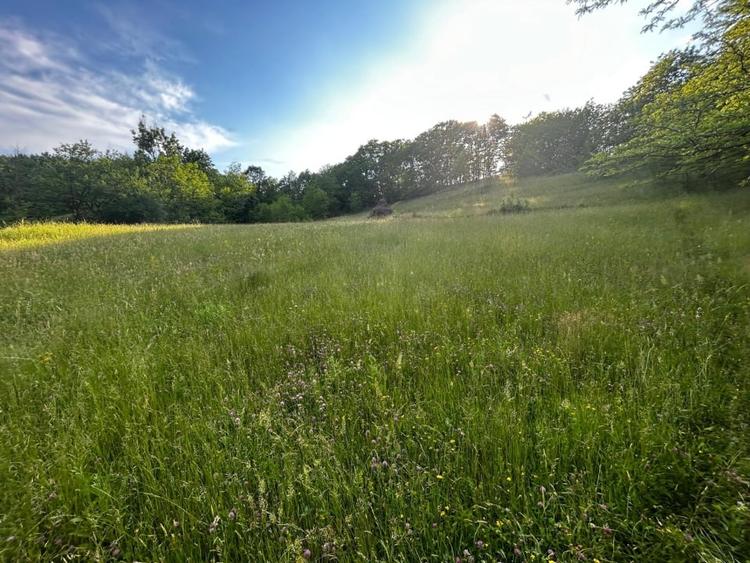 Teren agricol intravilan de 12259 mp, în Galați