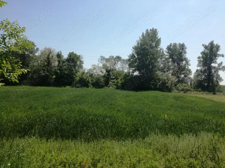 Teren de 5390 mp, în Vladimir