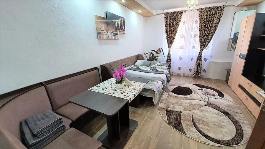 Garsoniera mobilata si utilata Terezian - 5