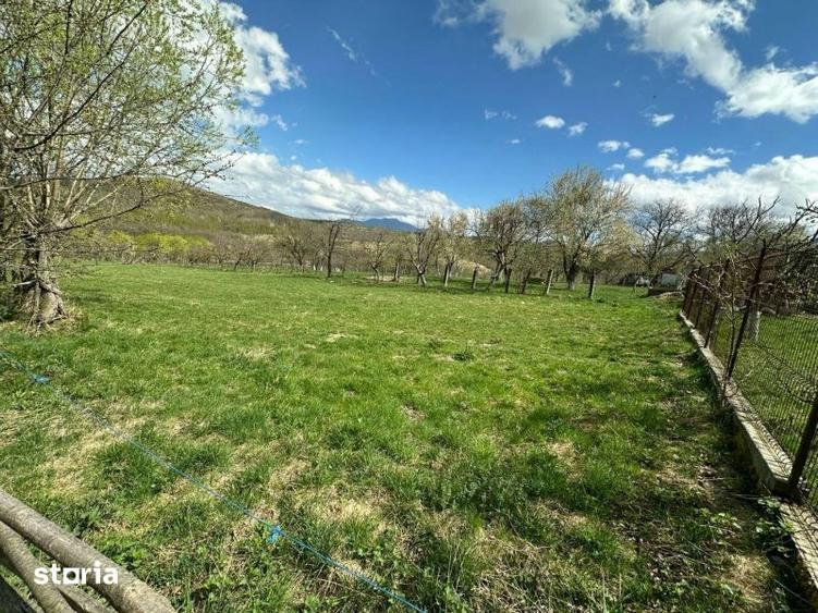 Teren de 4000 mp, în Central