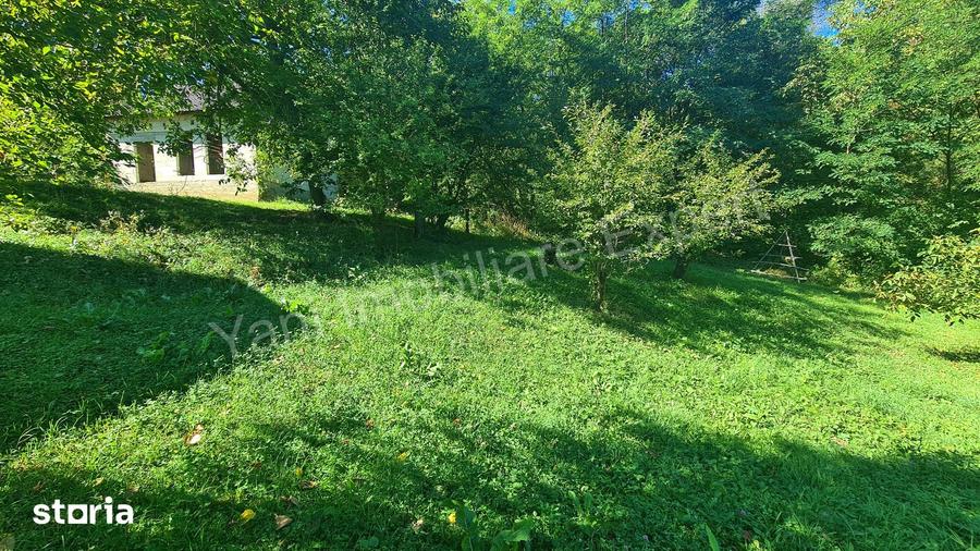 Casă cu 3 camere cu Teren 4391 Mp în Valea Danului