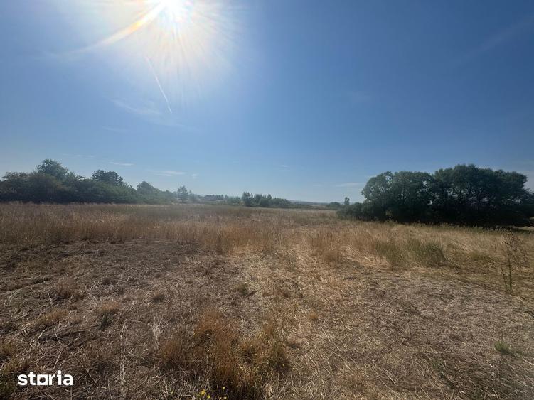 Teren intravilan 5755mp Fughiu, Zona Podgoria - 2