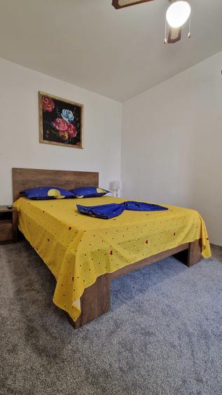 Apartament cu 2 camere în Palazu Mare