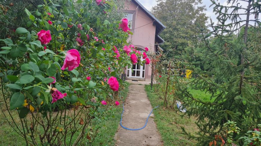 Teren Construcții intravilan de 2600 mp, în Rahova