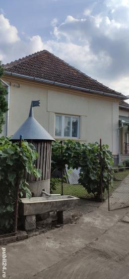 Casă cu 2 camere cu Teren 4384 Mp în Ilișua
