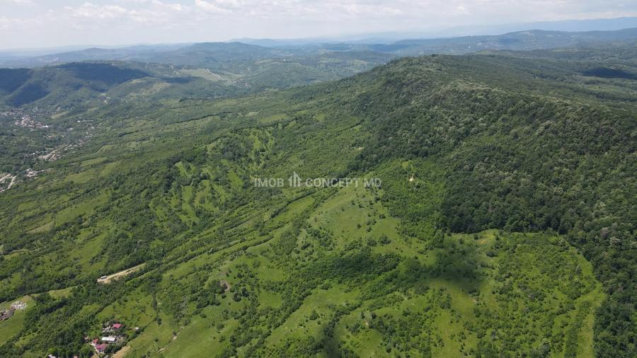 Teren agricol extravilan de 16189 mp, în Șoimari