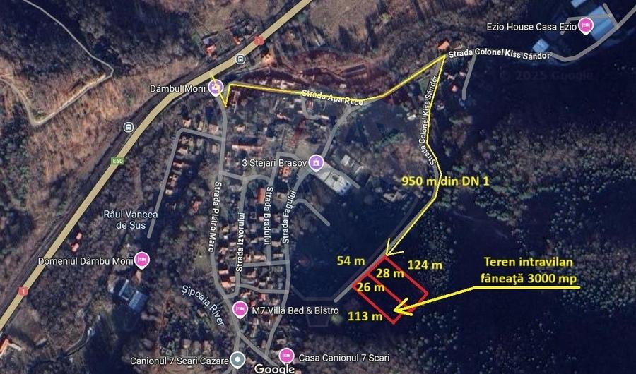 Teren Construcții intravilan de 3000 mp, în Dâmbul Morii