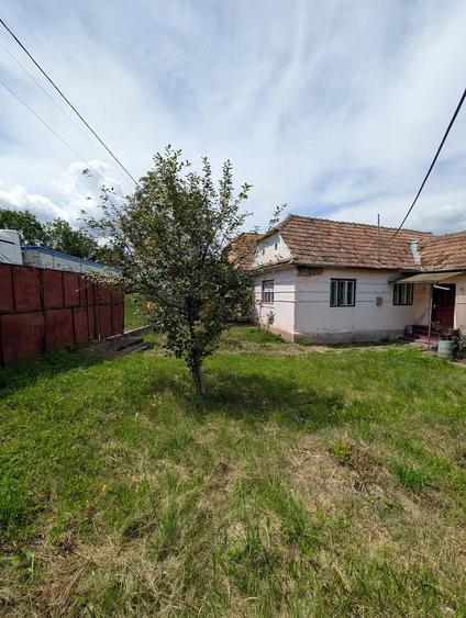 Casă cu Teren 3000 Mp în Albești