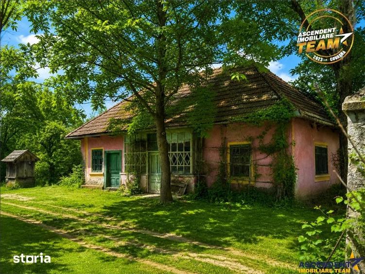 Teren de 4831 mp, în Boroșneu Mare