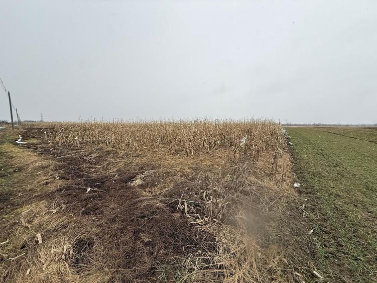 Teren agricol extravilan de 7276 mp, în Gălănești