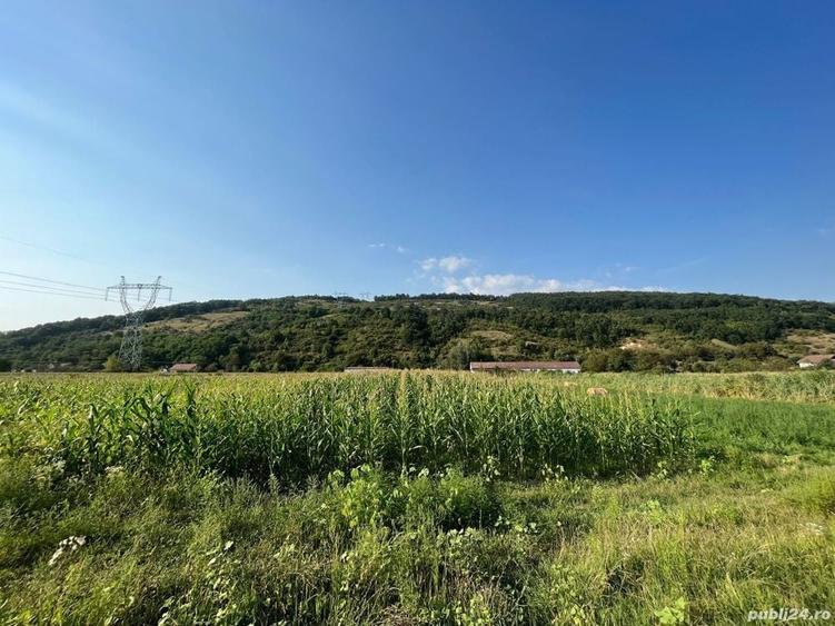 Teren de 2570 mp, în Bejan