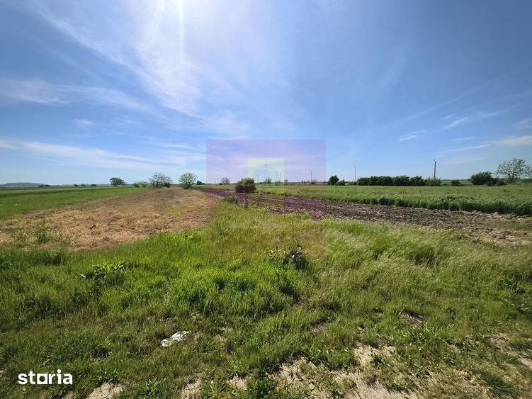 Teren de 4770 mp, în Dărăști-Ilfov