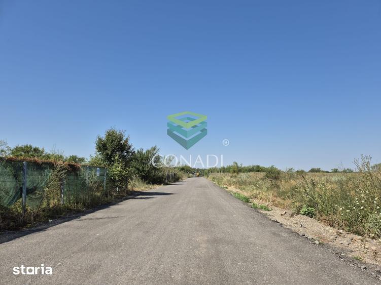 Teren de vanzare cu autorizatie pentru 2 hale - Otopeni - 10.000 mp - 12