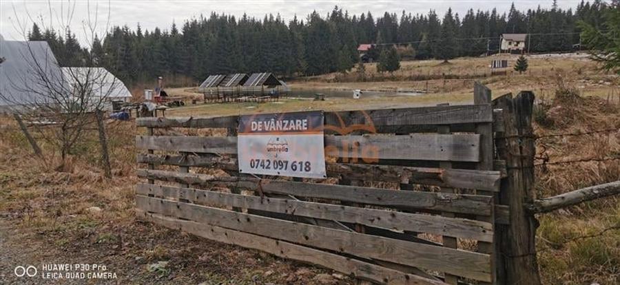 Teren Construcții extravilan de 1238 mp, în Beliș