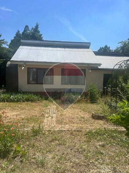 Casă cu 1 camere cu Teren 1129 Mp în Cunești