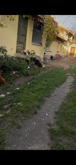 Casă cu 4 camere decomandat în Triaj