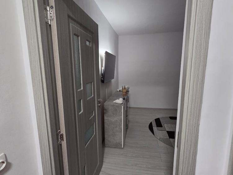 Apartament cu 3 camere semidecomandat, mobilat în Șagului