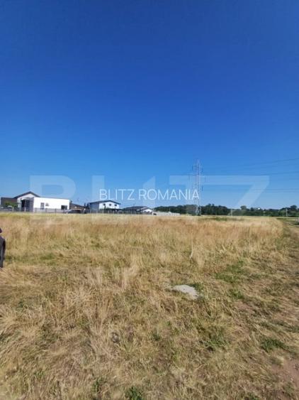 Teren intravilan, 907 mp, Copaceni