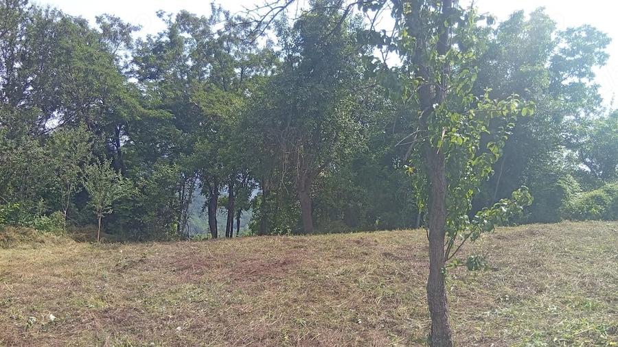 Casă cu Teren 9515 Mp în Dăești