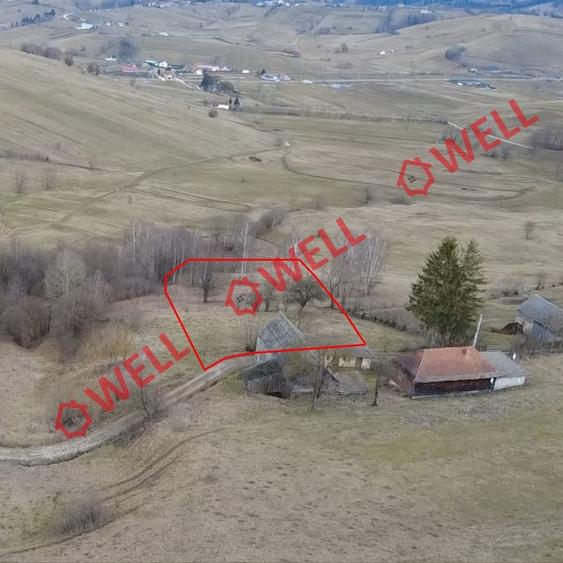 Teren extravilan de 5800 mp, în Sărămaș