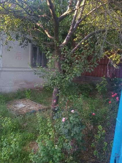 Casă cu 3 camere în Ulmeni