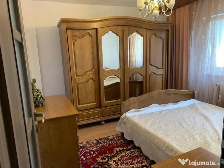 Apartament 2 camere -zona USAMV si Platinia - 12