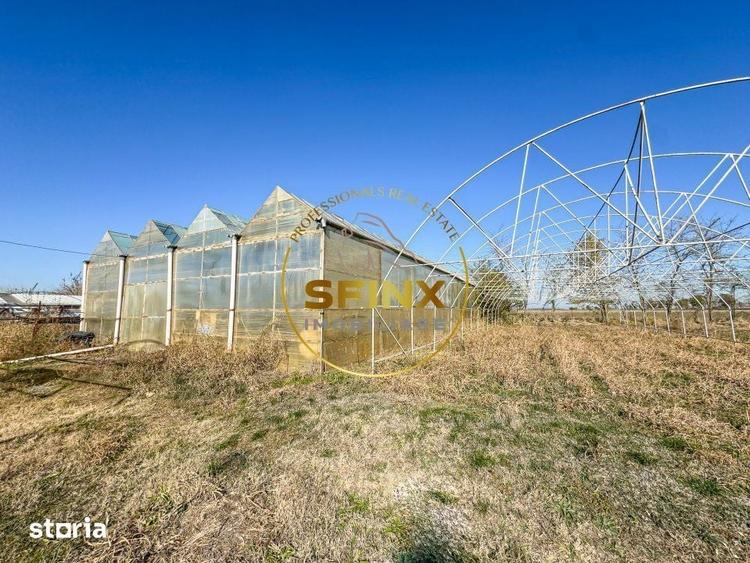 Teren de 29000 mp, în Nicolae Bălcescu