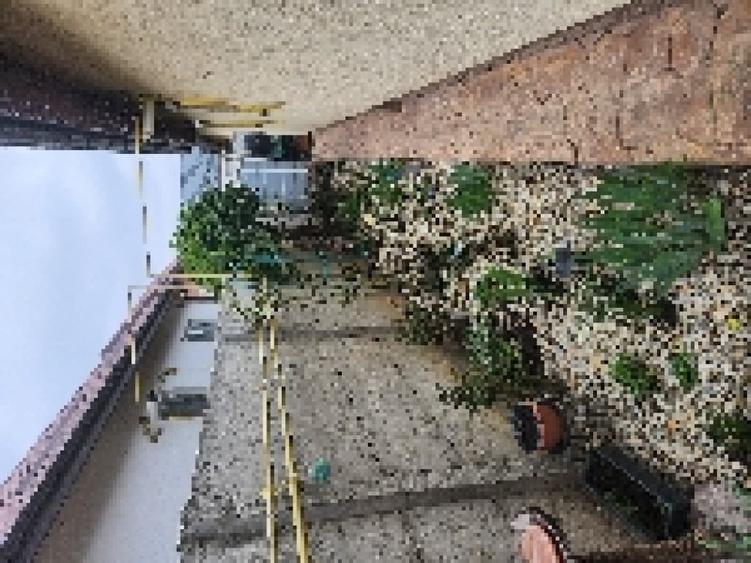 Casă cu 3 camere cu Teren 250 Mp în Central